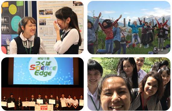 Programme highlights collage