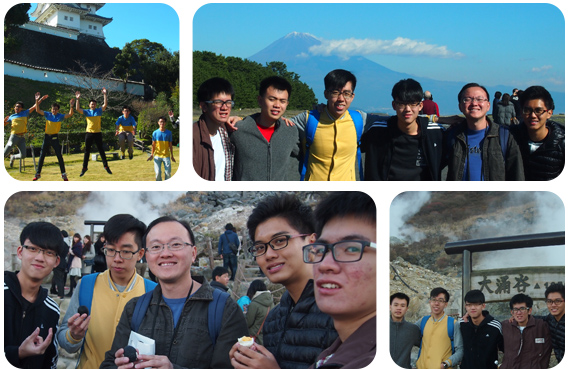 Partnership programme collage