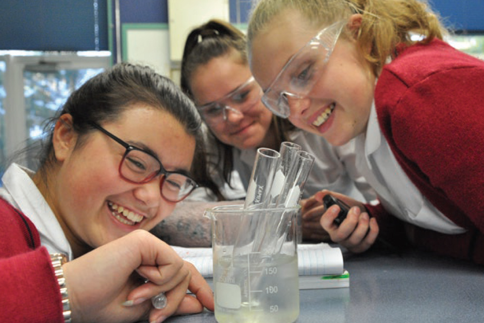 New Zealand Immersion Programme