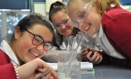 New Zealand Immersion Programme